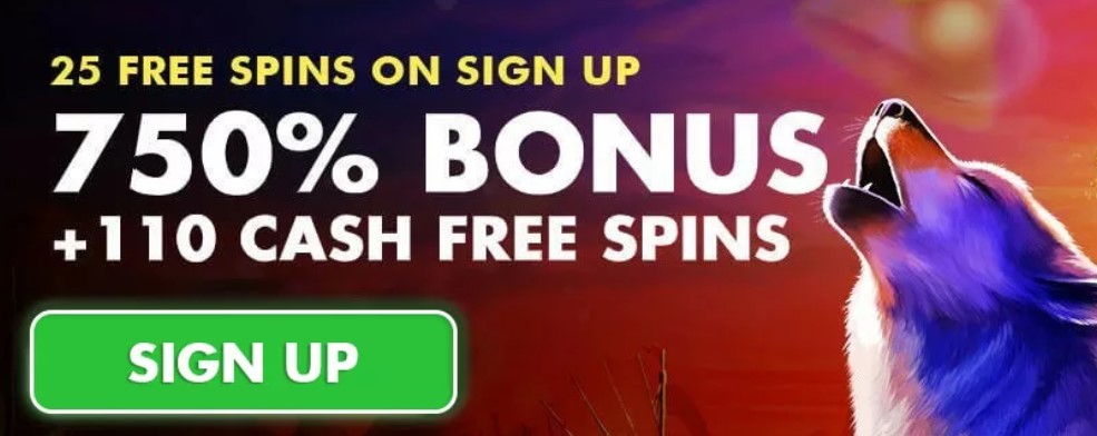 Bondibet Casino No Deposit Bonus Bondibet No Deposit Bonus
